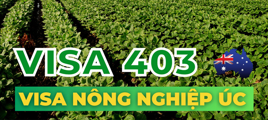 Công ty xuất khẩu lao động Thành Đô tuyển 10 nữ đơn hàng chế biến thực phẩm đi Nhật